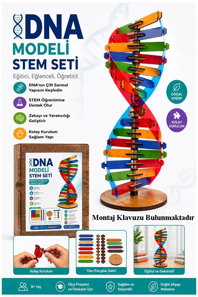 Dna Modeli 1 Paket Ahşap DNA Yapım Seti Dna Sarmalı Deney Yapım Seti Okul Materyali Fen Bilimleri